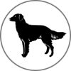 KFO-Einlegebilder Hund, schwarz