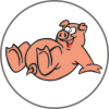 KFO-Einlegebilder Schwein